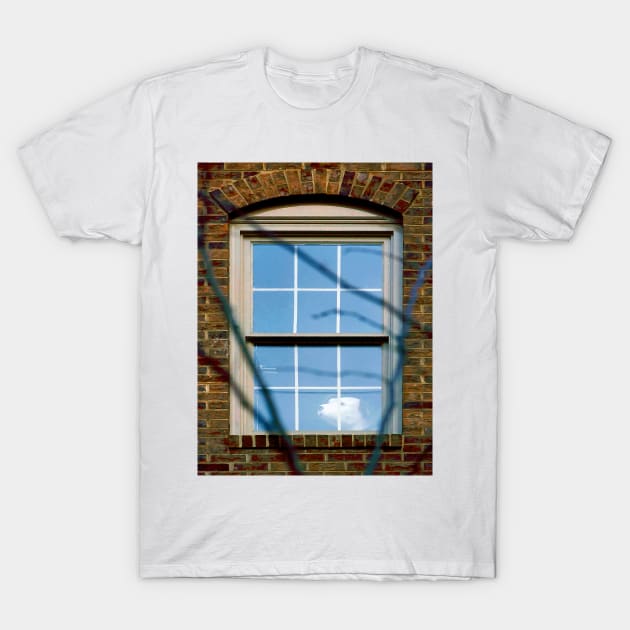 How Much Is That Doggie In The Window? T-Shirt by markross